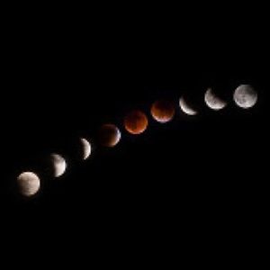 Meet your Posher, Mari